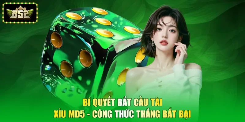 Bí Quyết Bắt Cầu Tài Xỉu MD5 - Công Thức Thắng Bất Bại